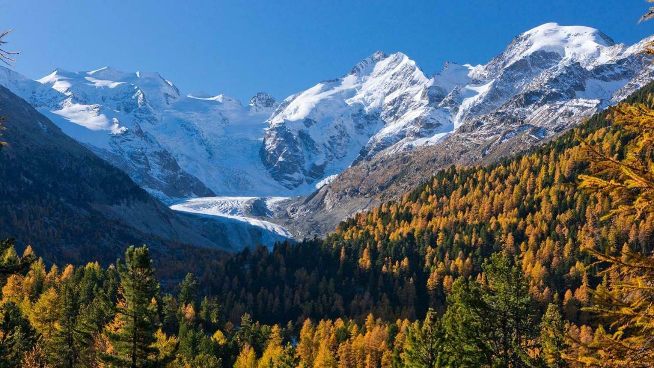 Hotel Morteratsch Pontresina Zewnętrze zdjęcie