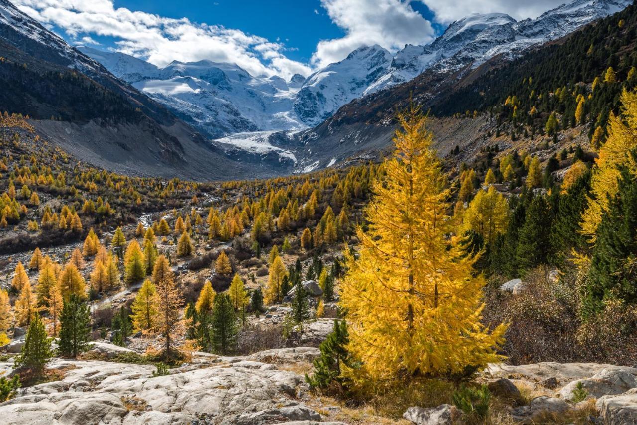 Hotel Morteratsch Pontresina Zewnętrze zdjęcie